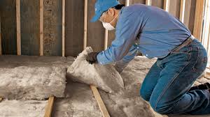 Best Wall Insulation Installation in USA